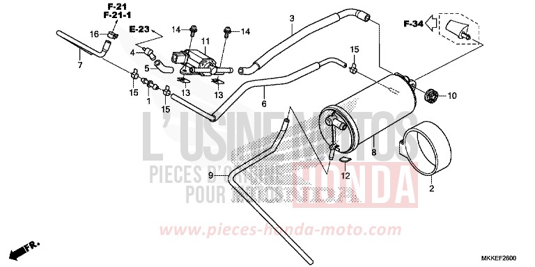 AKTIVKOHLEBEHAELTER von Africa Twin PEARL GLARE WHITE (NHB53HB) von 2019
